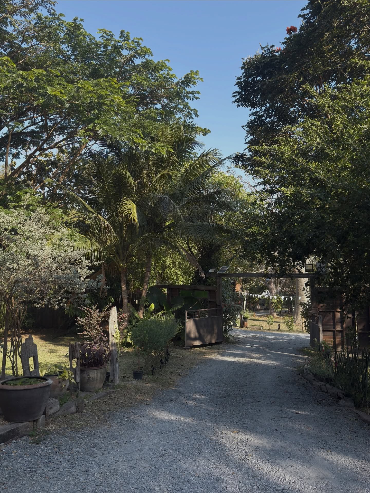 อาย - กมลเนตร เรืองศรี