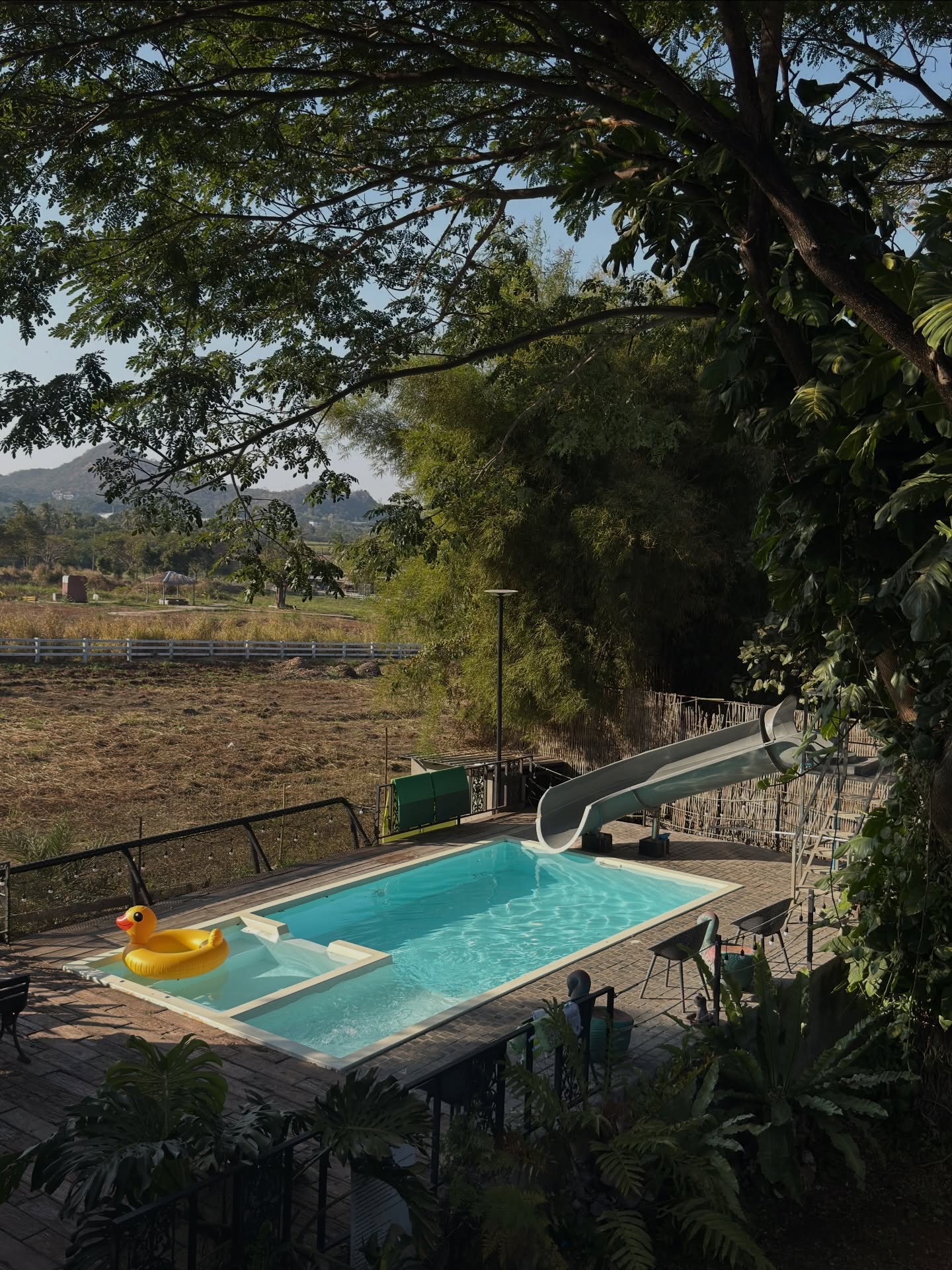 อาย - กมลเนตร เรืองศรี