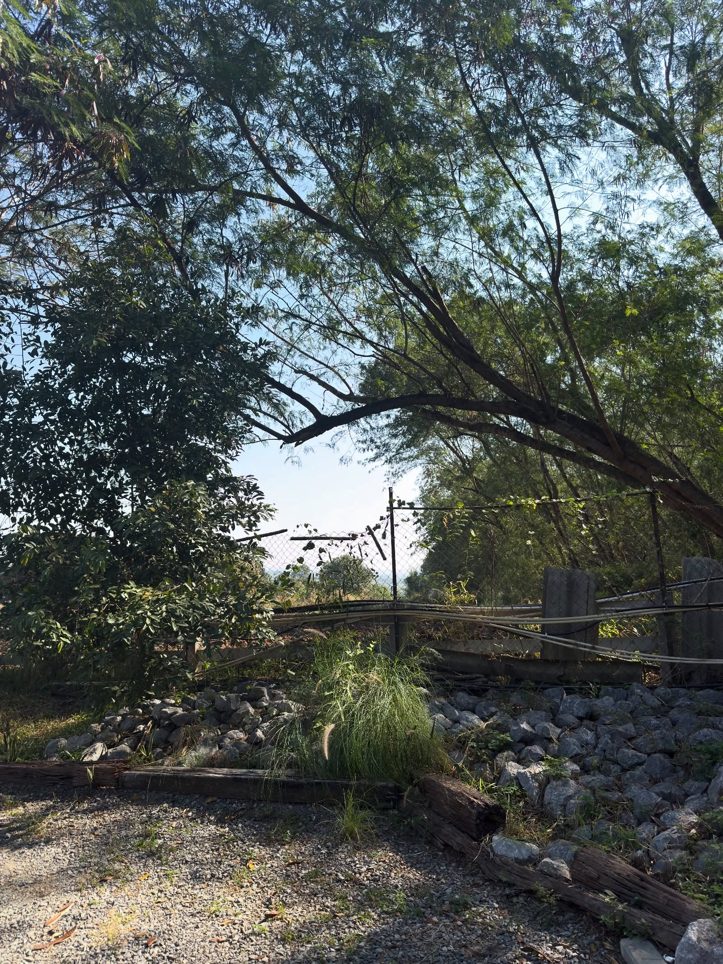 อาย - กมลเนตร เรืองศรี