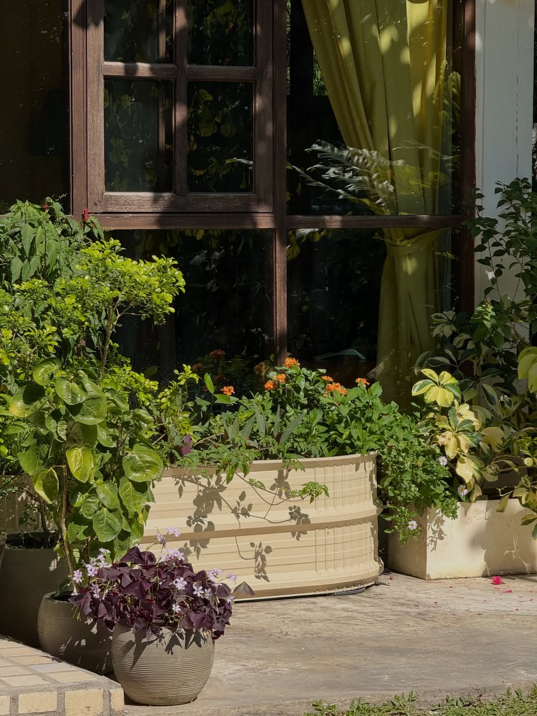 อาย - กมลเนตร เรืองศรี