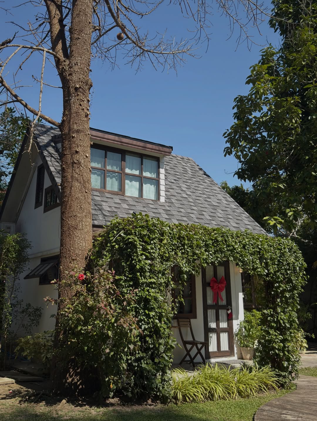 อาย - กมลเนตร เรืองศรี