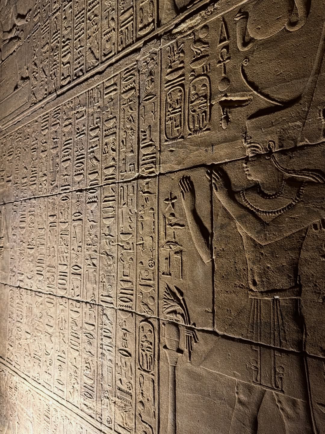 อาย - กมลเนตร เรืองศรี