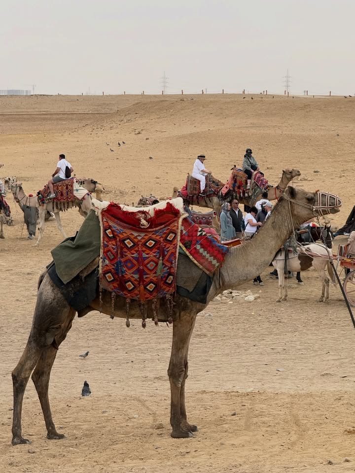 อาย - กมลเนตร เรืองศรี