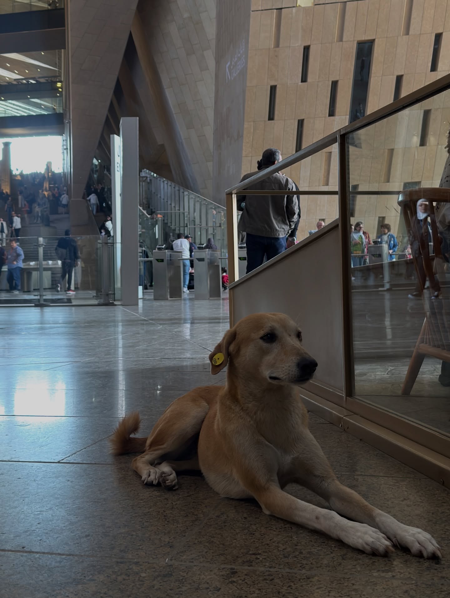 อาย - กมลเนตร เรืองศรี