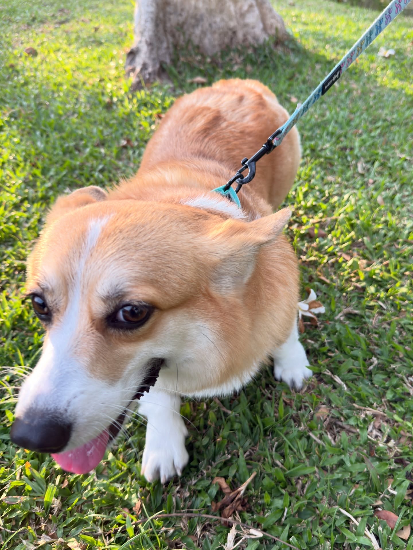 อาย - กมลเนตร เรืองศรี