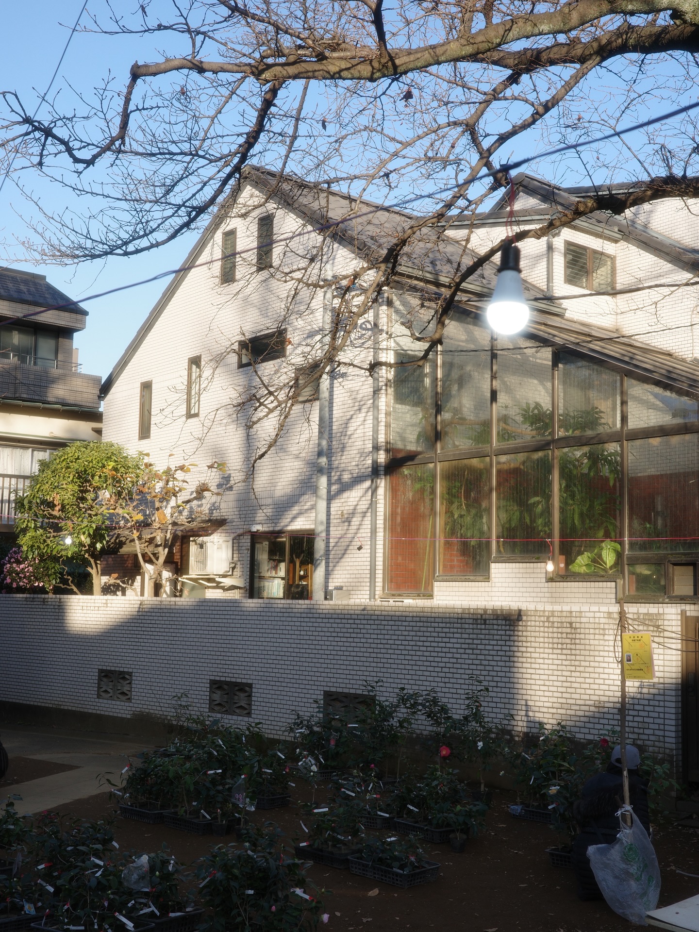 อาย - กมลเนตร เรืองศรี