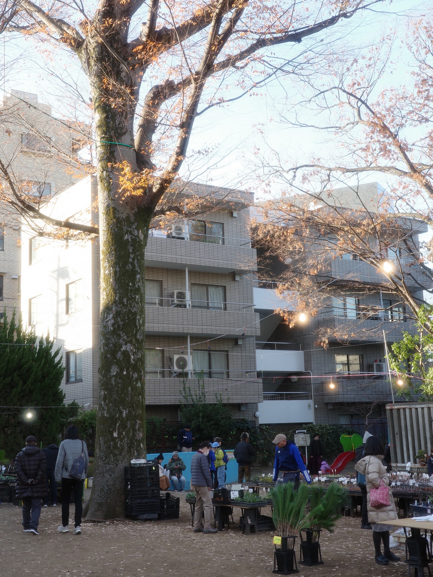 อาย - กมลเนตร เรืองศรี