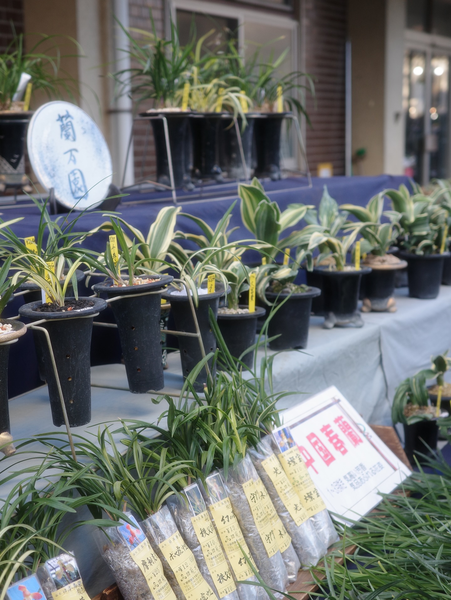 อาย - กมลเนตร เรืองศรี