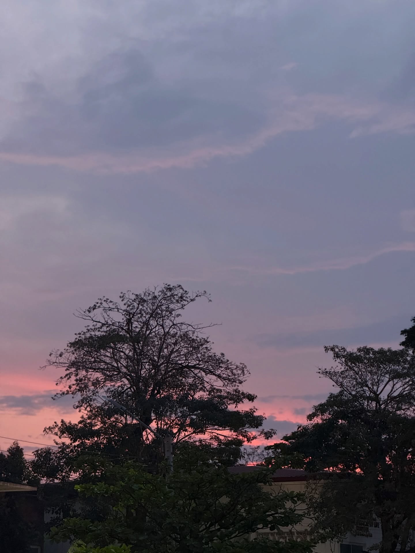 อาย - กมลเนตร เรืองศรี