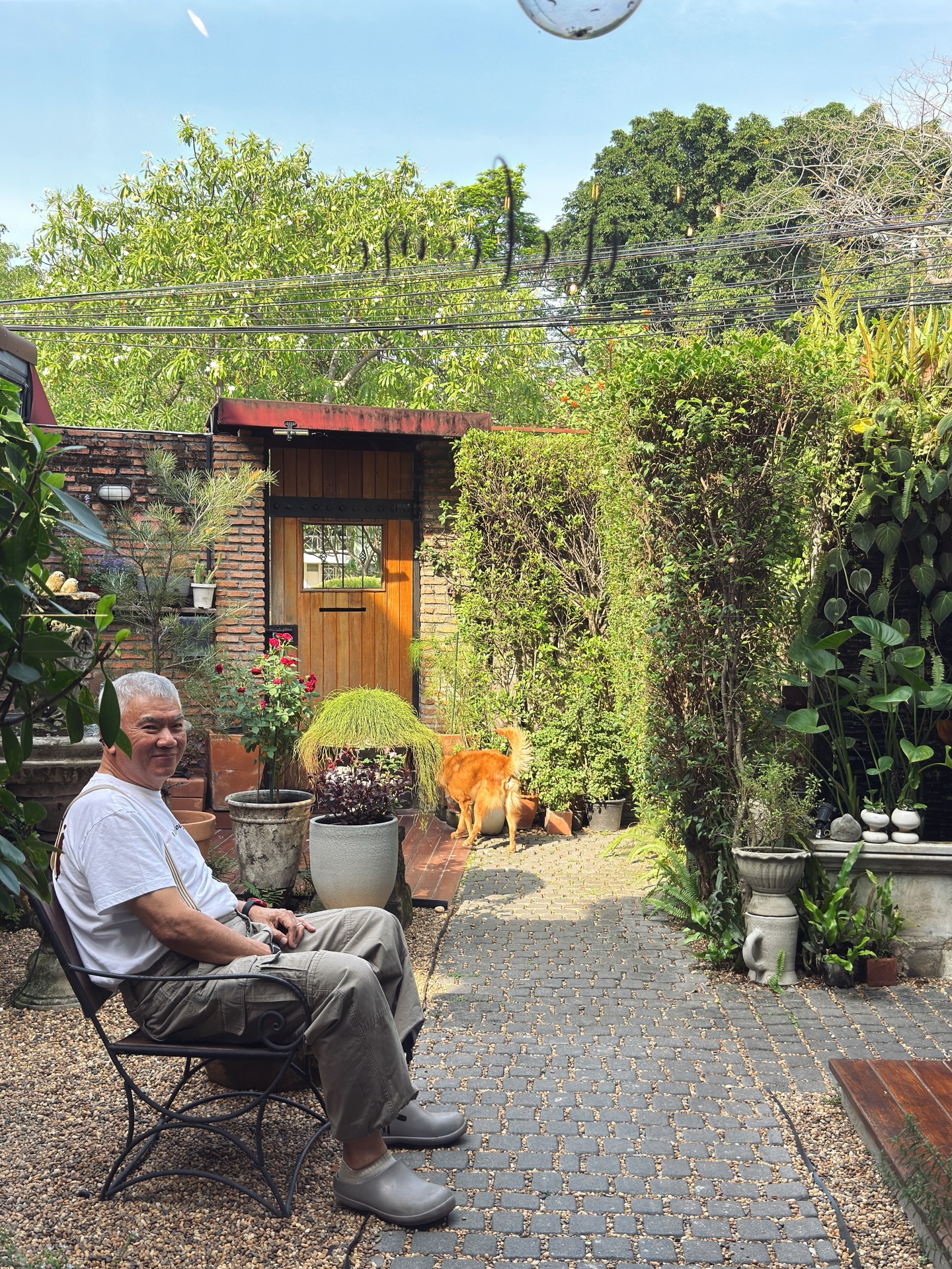 อาย - กมลเนตร เรืองศรี