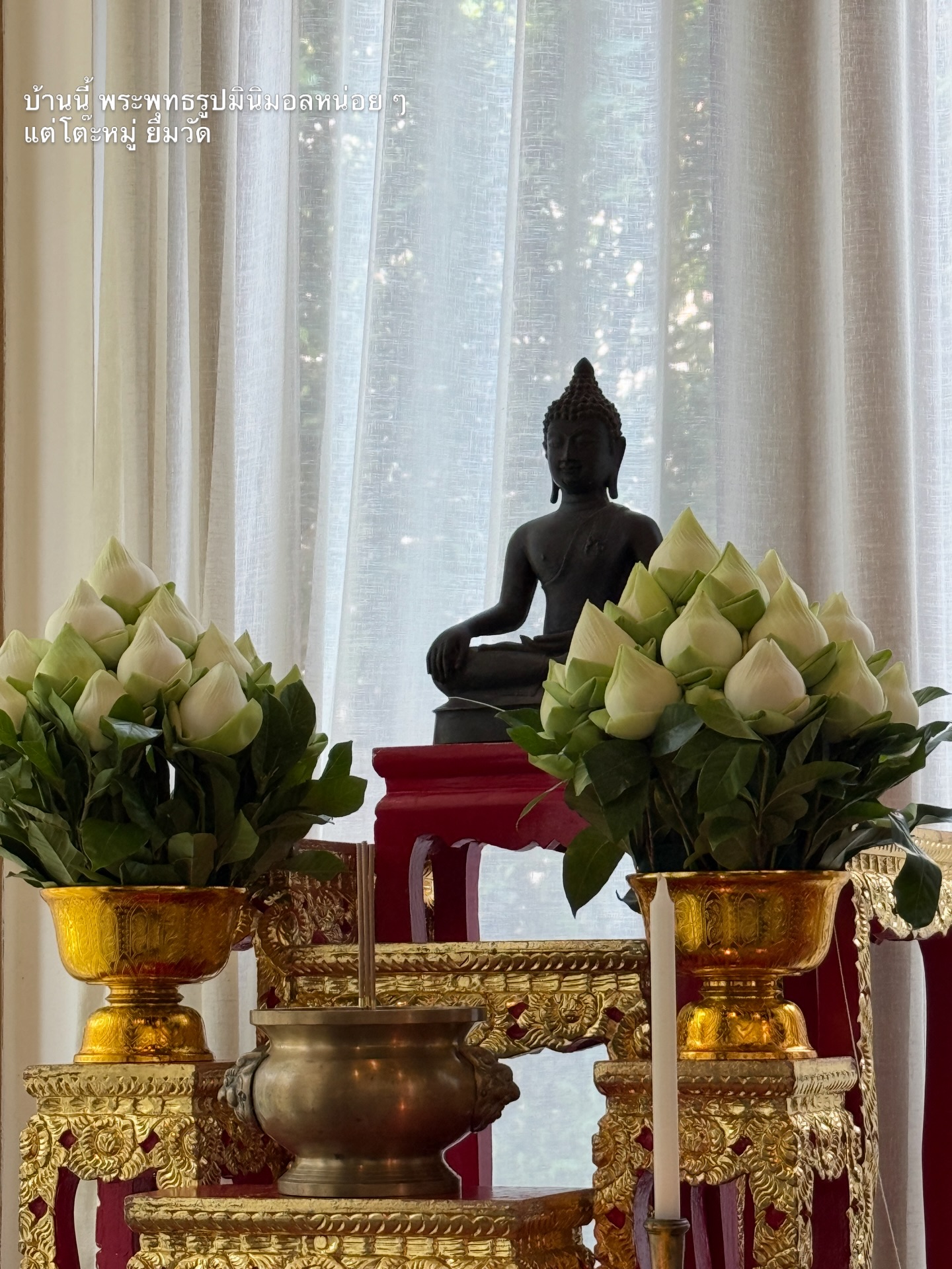 อาย - กมลเนตร เรืองศรี