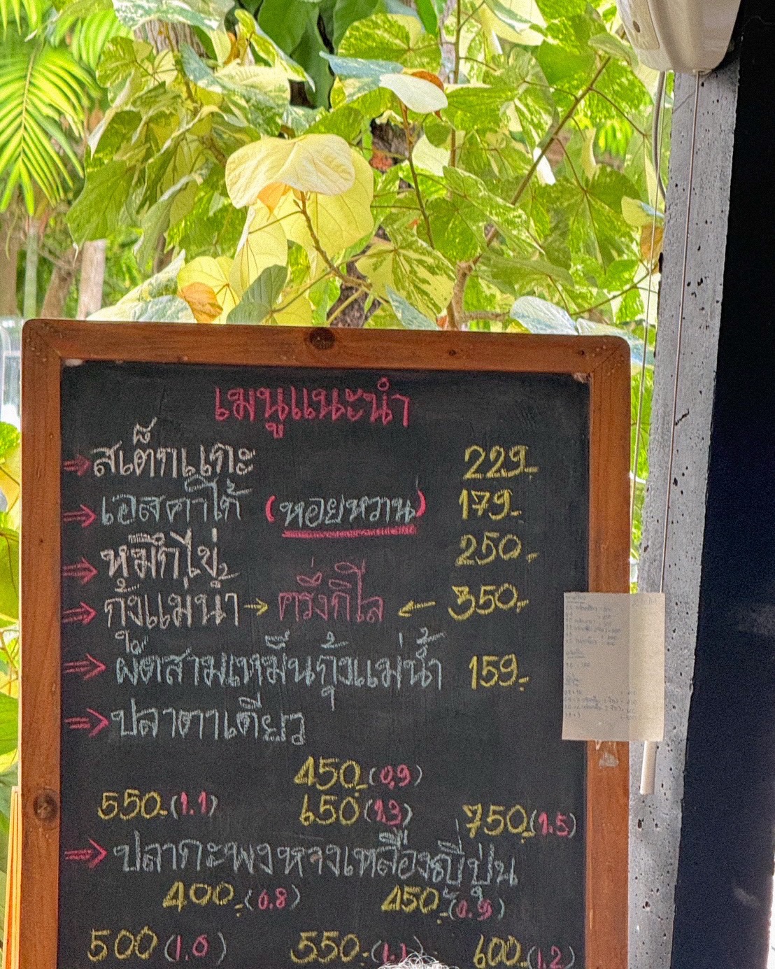 อาย - กมลเนตร เรืองศรี