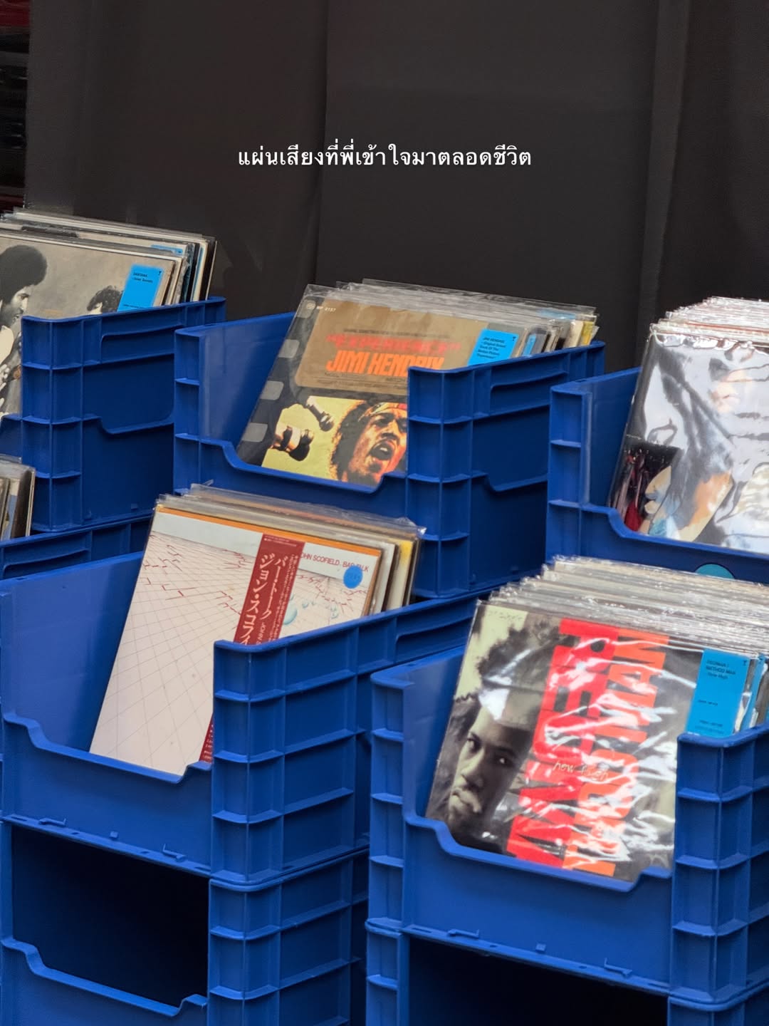 อาย - กมลเนตร เรืองศรี