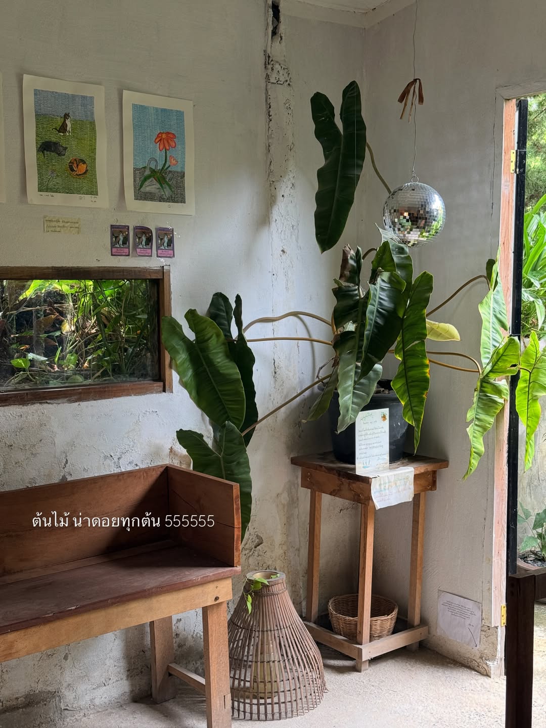 อาย - กมลเนตร เรืองศรี
