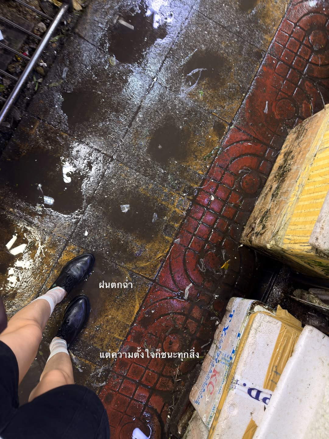 อาย - กมลเนตร เรืองศรี