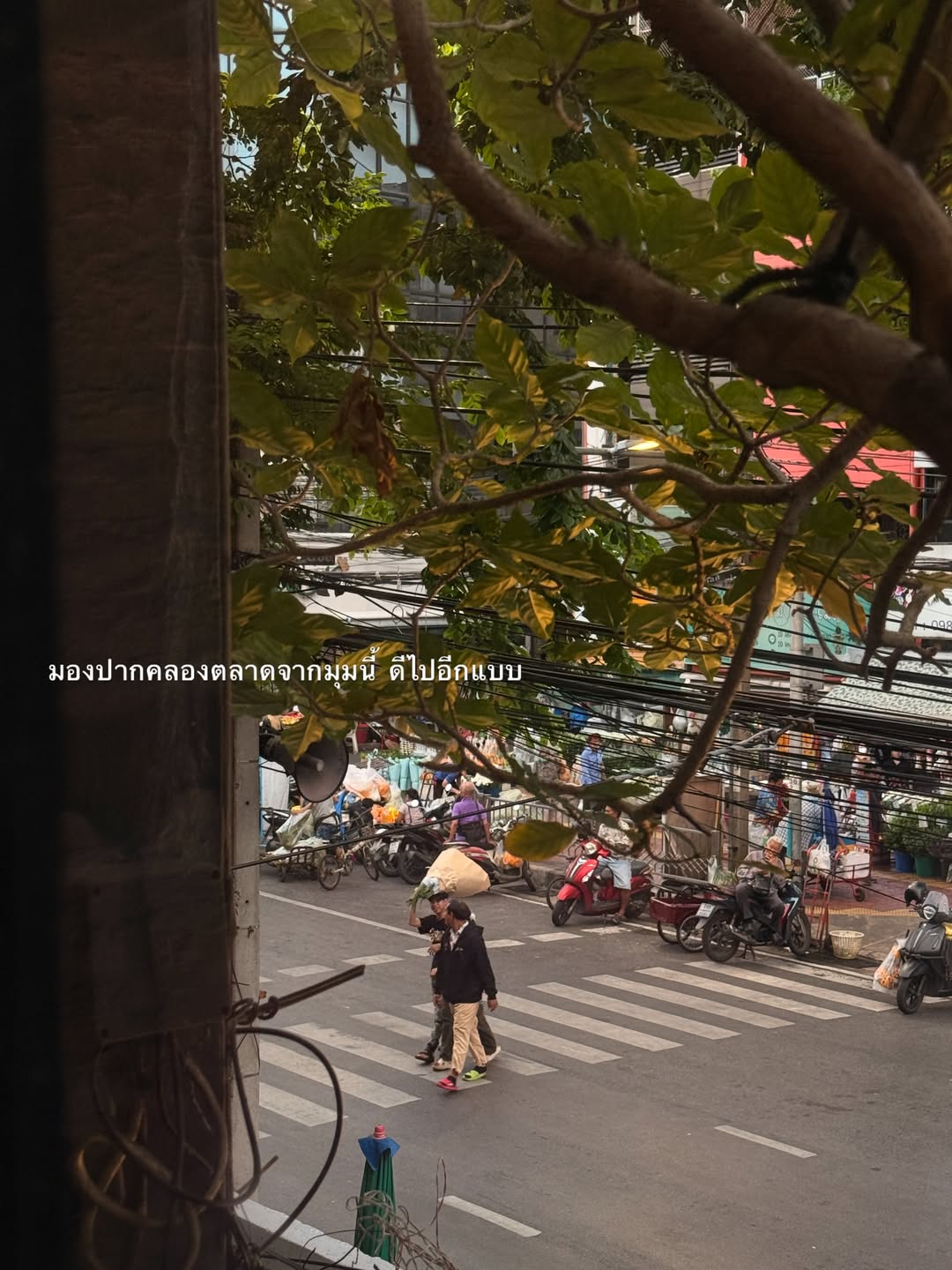 อาย - กมลเนตร เรืองศรี