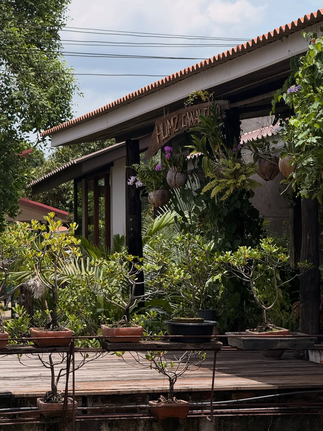 อาย - กมลเนตร เรืองศรี