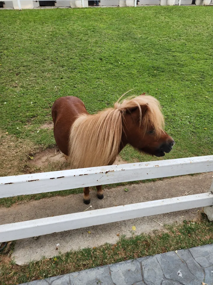 เชอรีน - ณัฐจารี หรเวชกุล