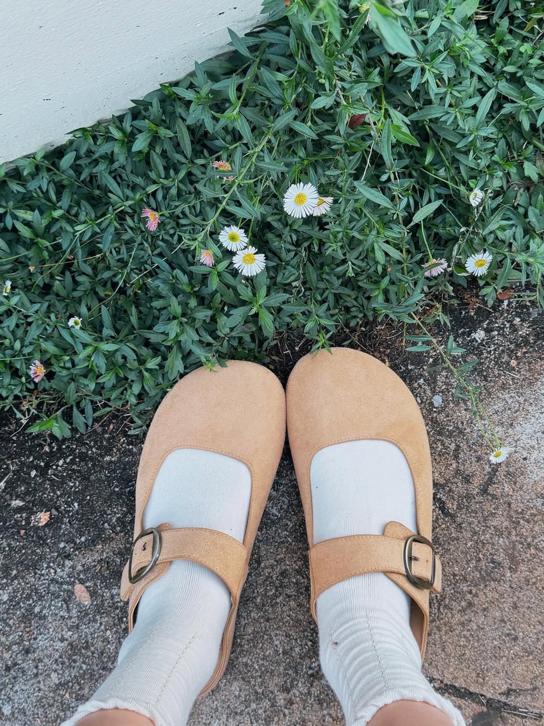 เชอรีน - ณัฐจารี หรเวชกุล