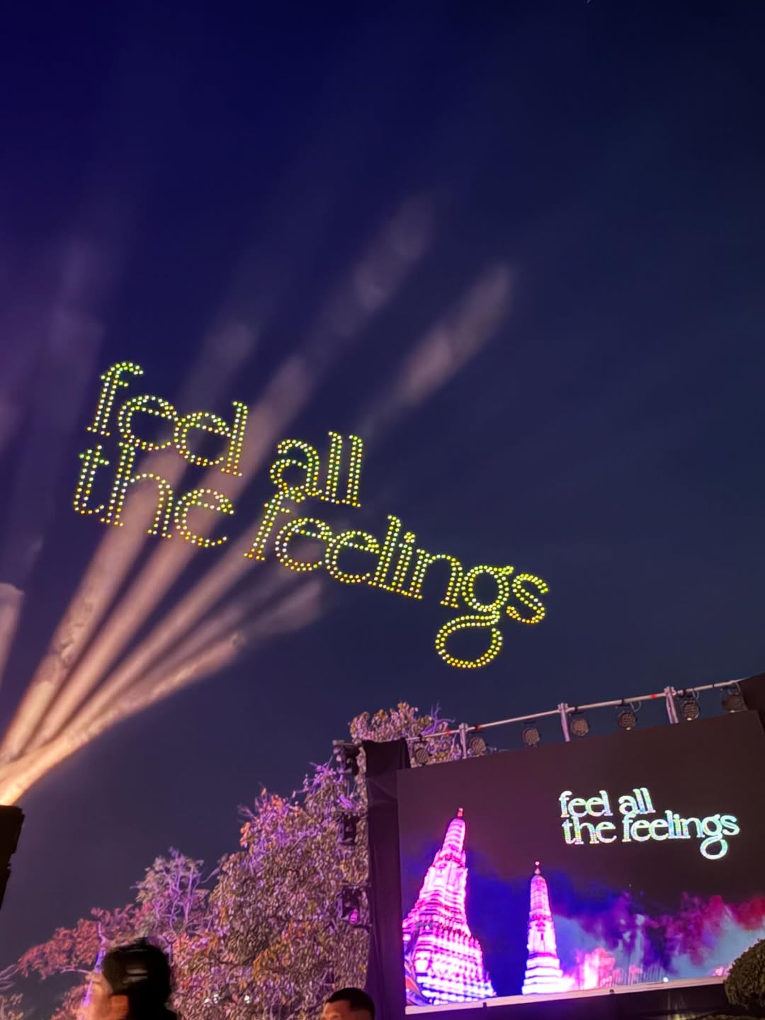 เชอรีน - ณัฐจารี หรเวชกุล