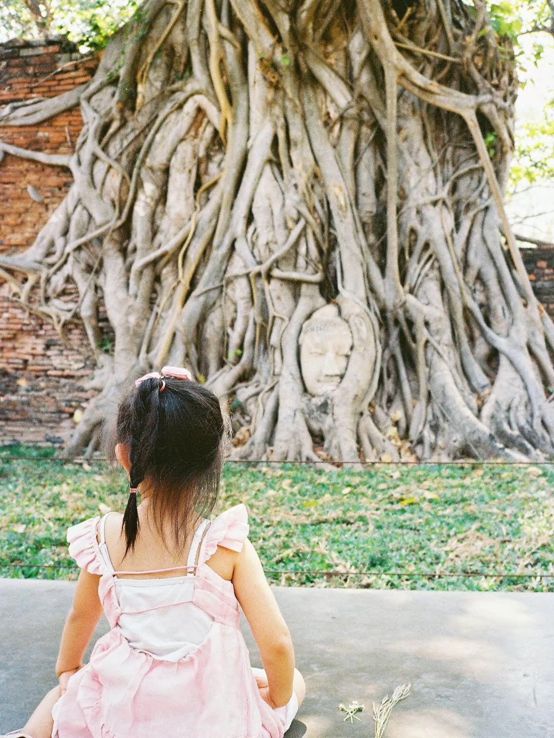 เชอรีน - ณัฐจารี หรเวชกุล