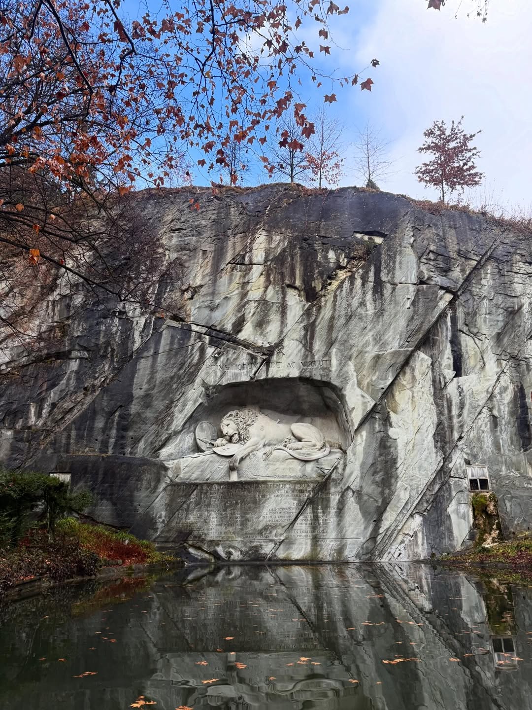 วิน ศิริวงศ์