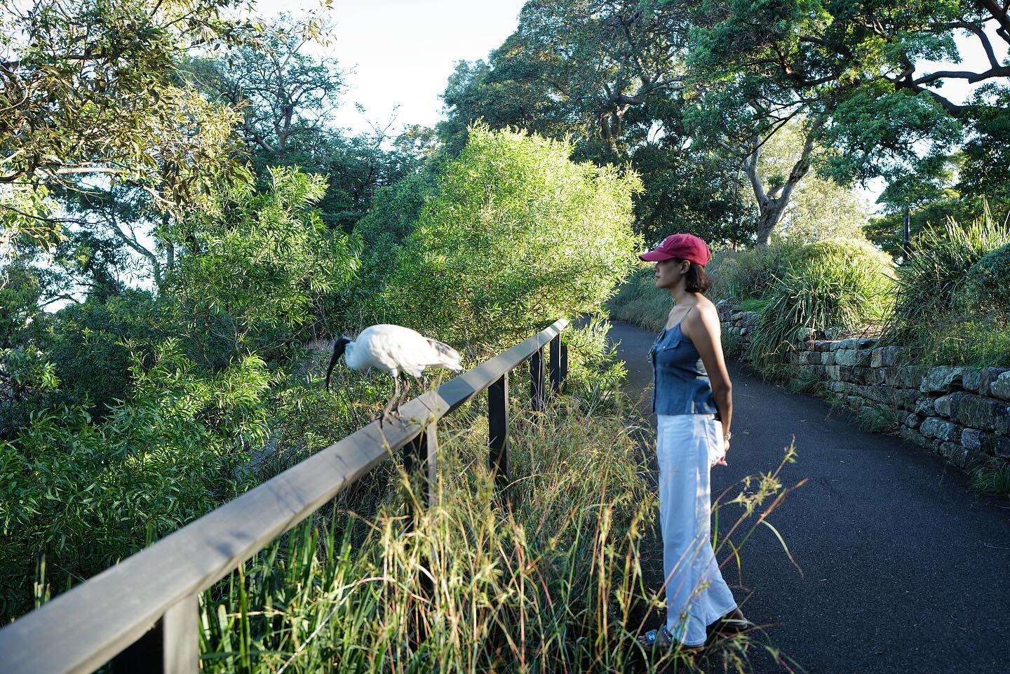 วิน ศิริวงศ์