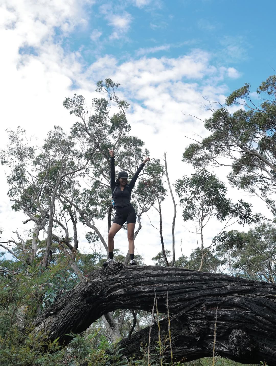 วิน ศิริวงศ์