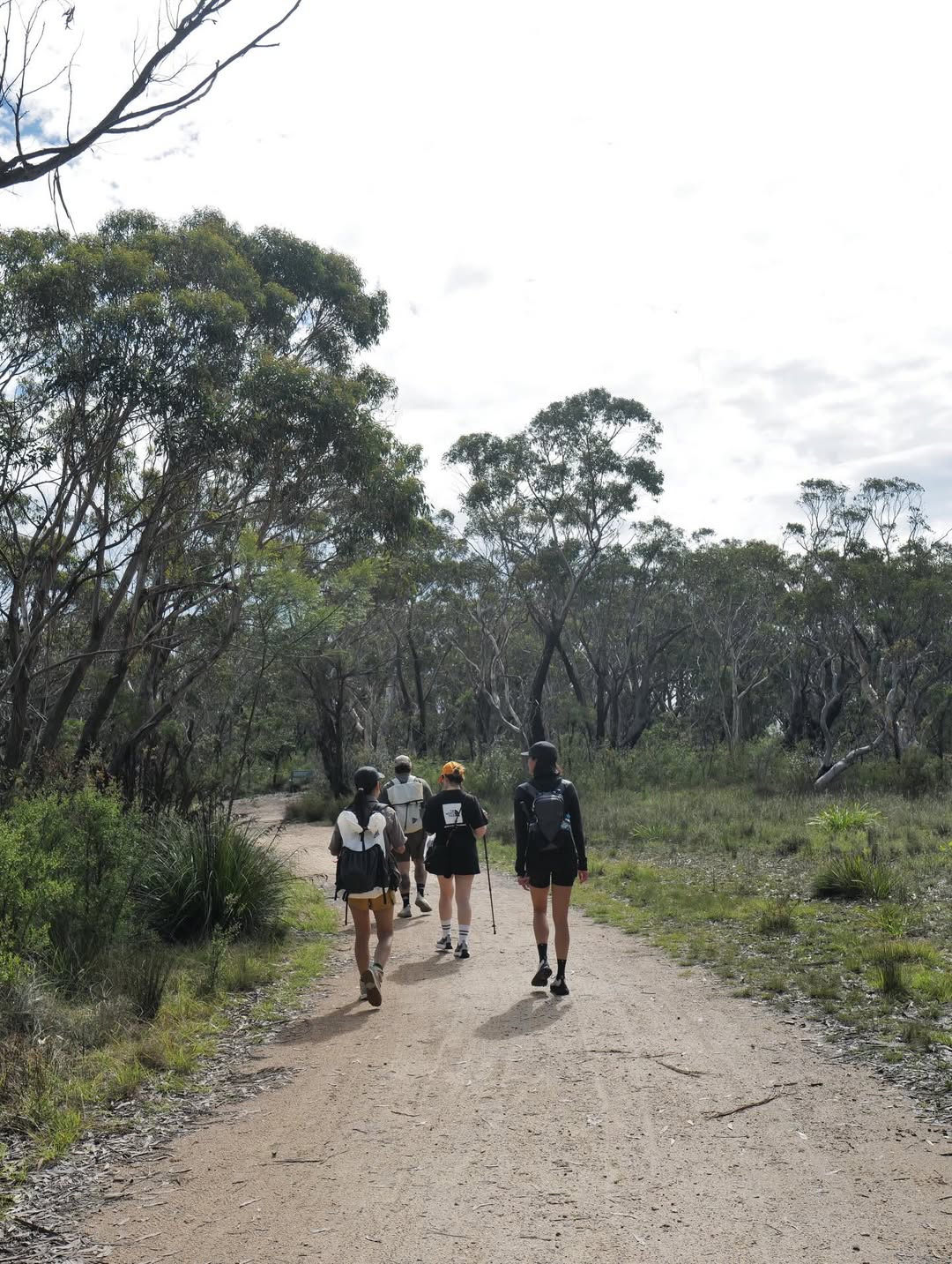 วิน ศิริวงศ์