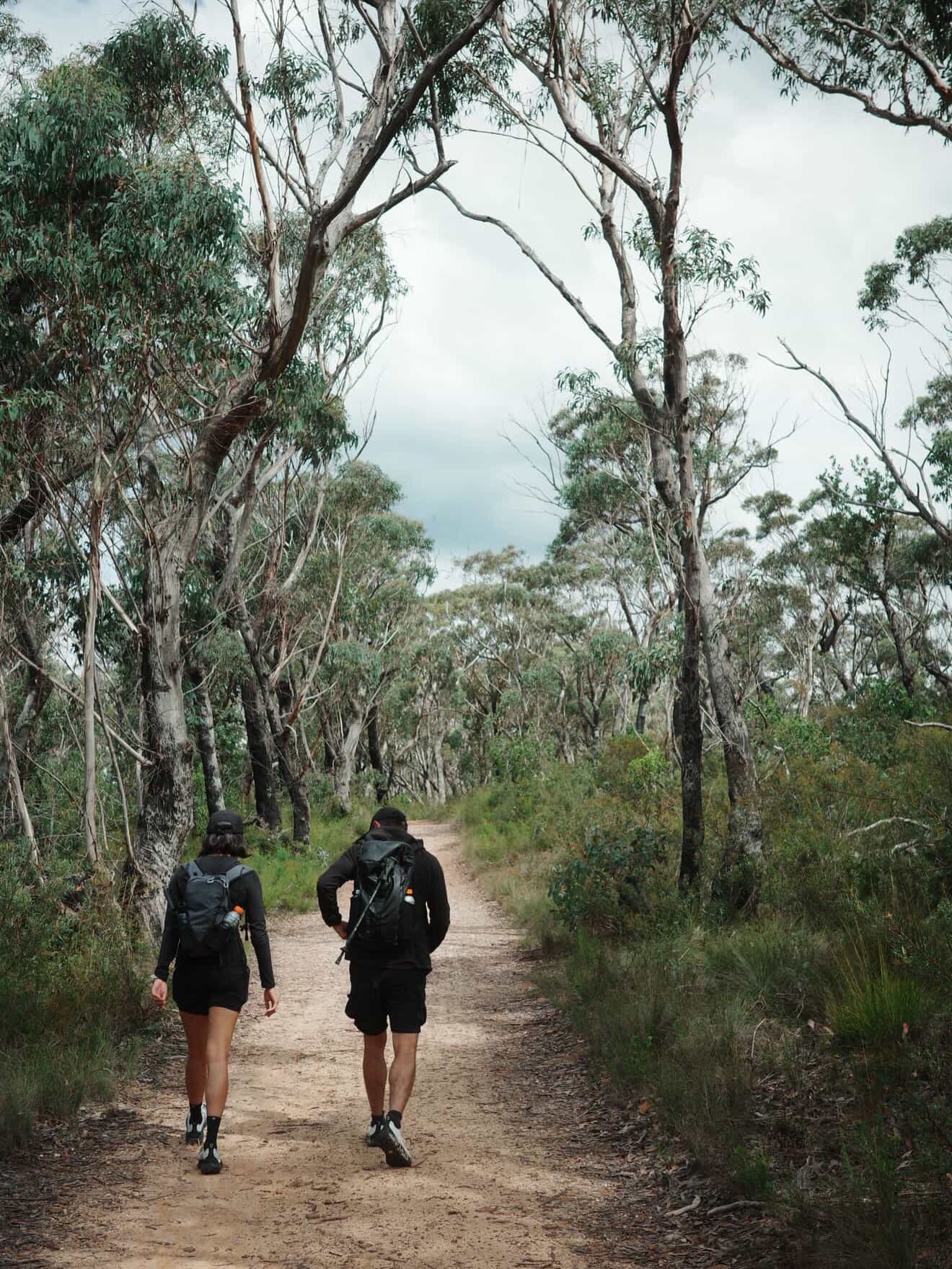 วิน ศิริวงศ์