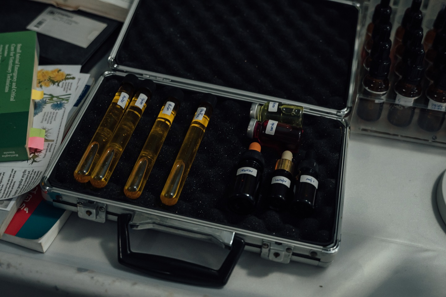 ณฐ - ณฐสิชณ์ เอื้อเอกสิชฌ์