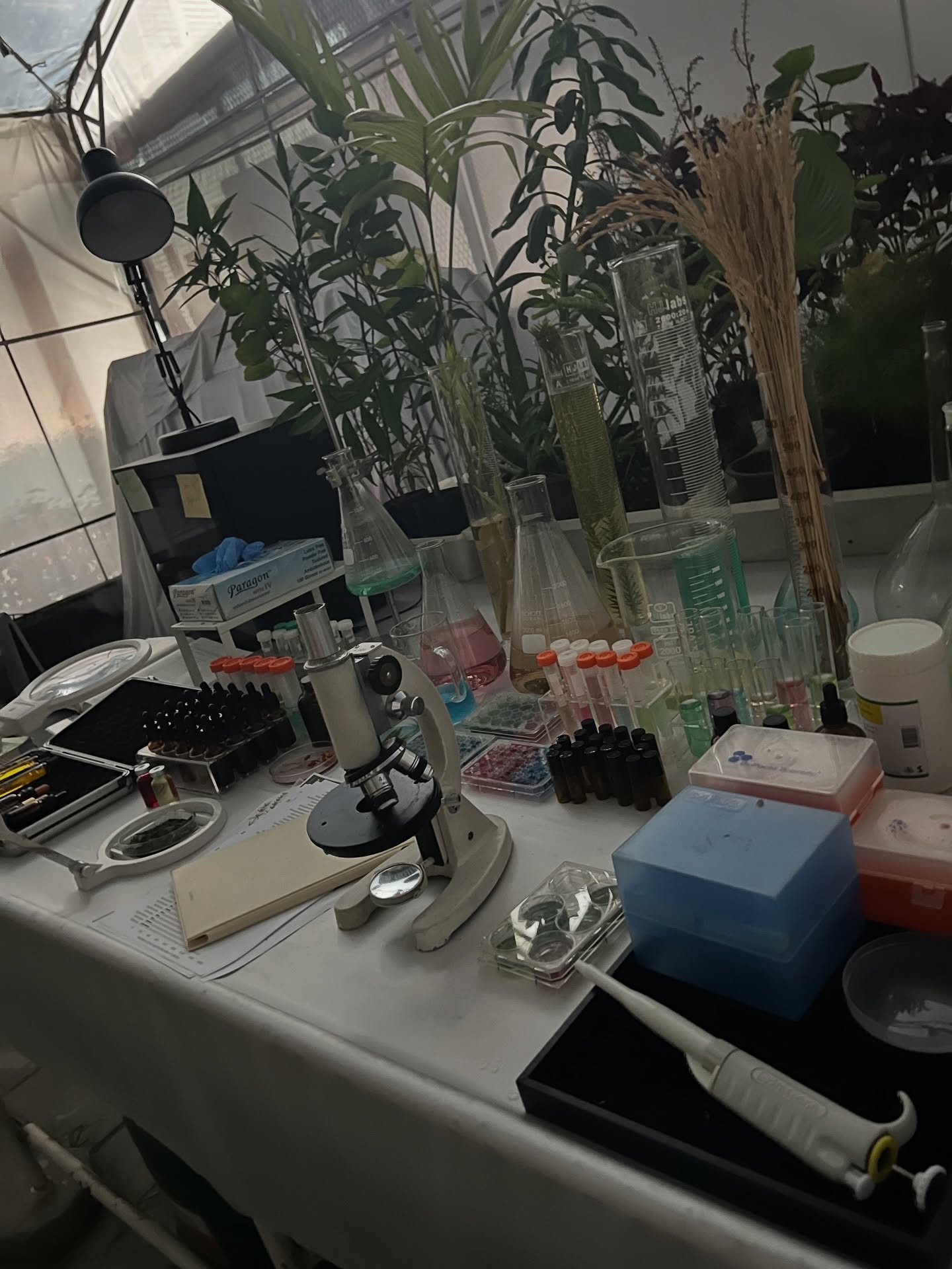 ณฐ - ณฐสิชณ์ เอื้อเอกสิชฌ์