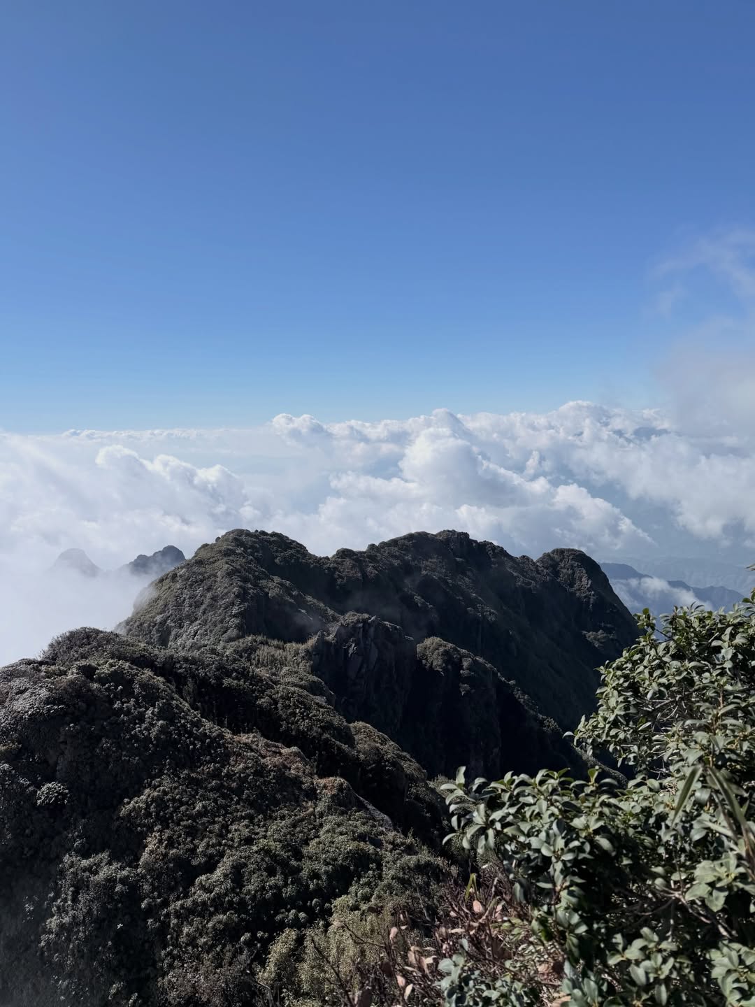 ณฐ - ณฐสิชณ์ เอื้อเอกสิชฌ์