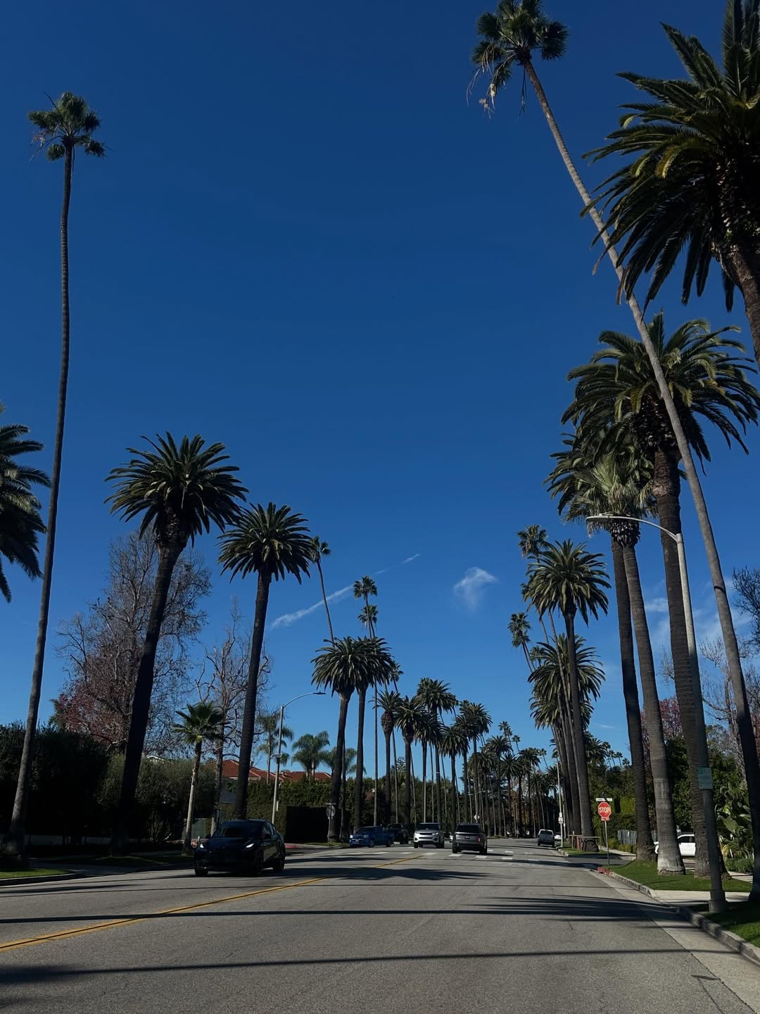 เบคกี้ - รีเบคก้า แพทรีเซีย อาร์มสตรอง