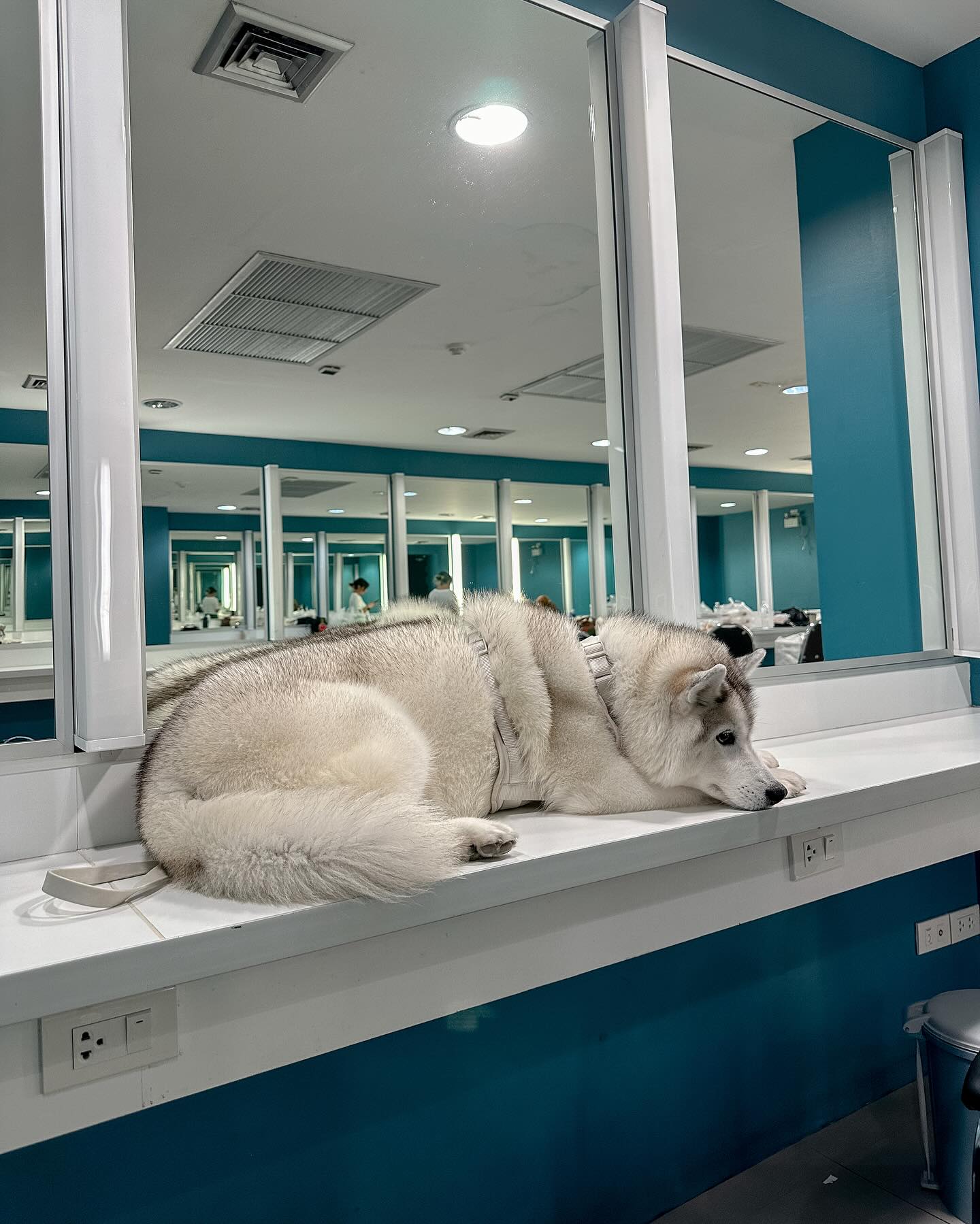 แพนเค้ก - เขมนิจ จามิกรณ์