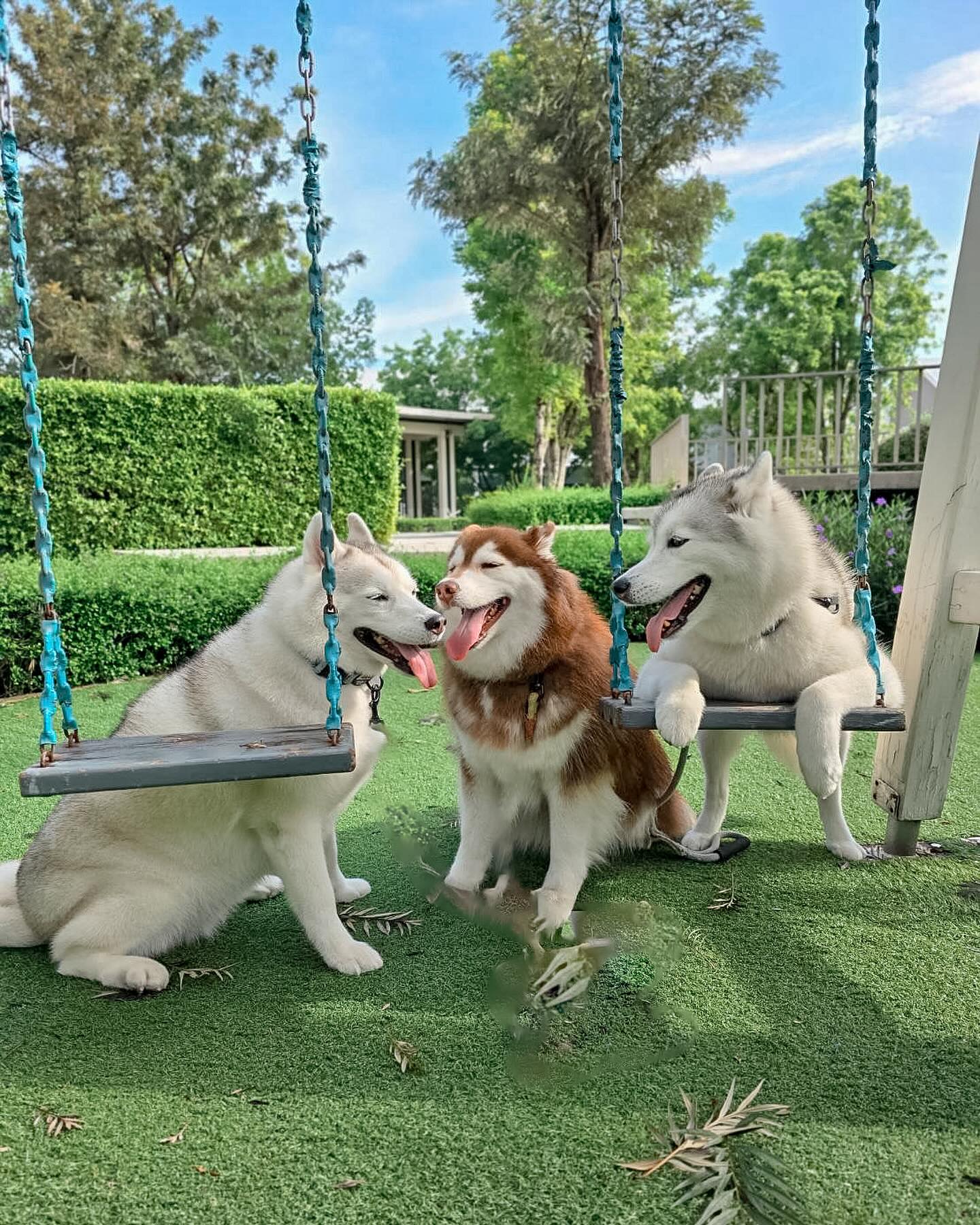 แพนเค้ก - เขมนิจ จามิกรณ์