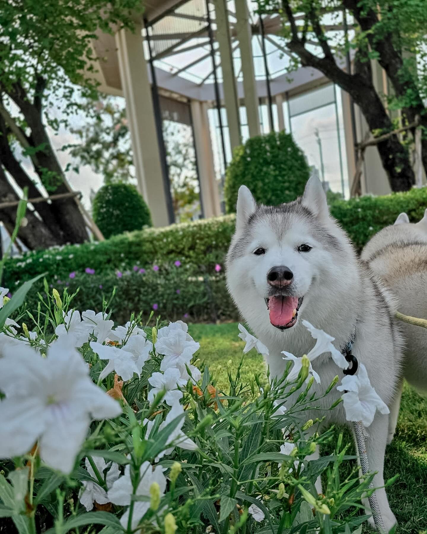 แพนเค้ก - เขมนิจ จามิกรณ์