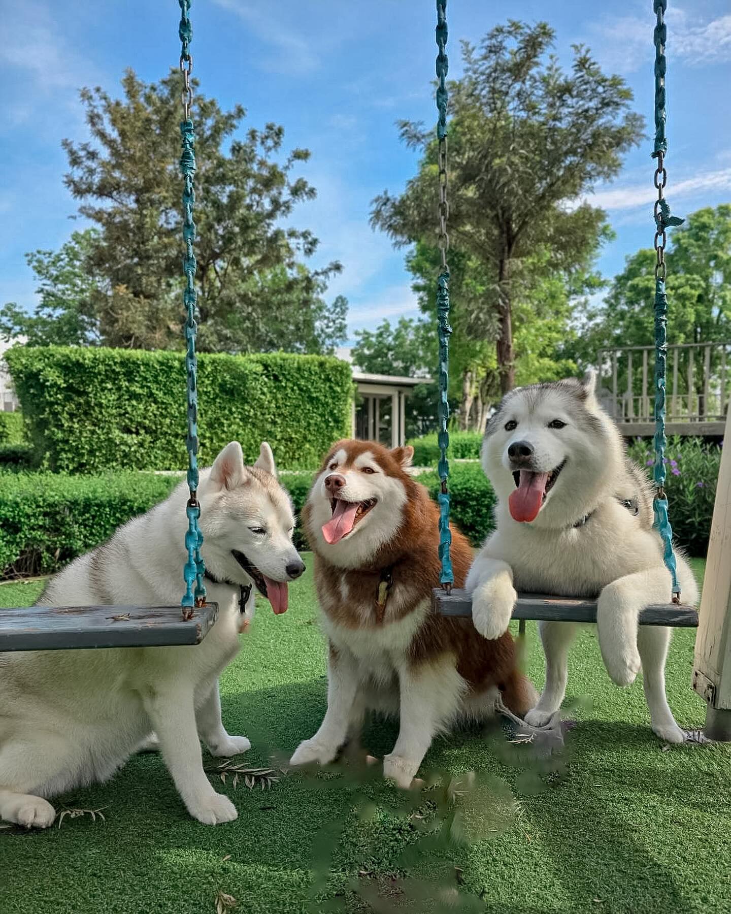 แพนเค้ก - เขมนิจ จามิกรณ์