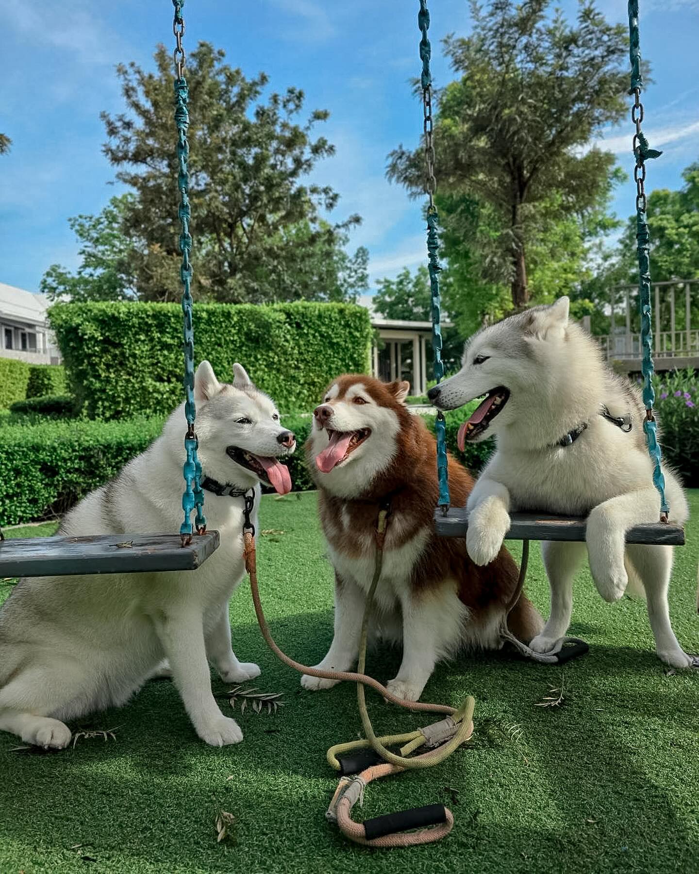 แพนเค้ก - เขมนิจ จามิกรณ์