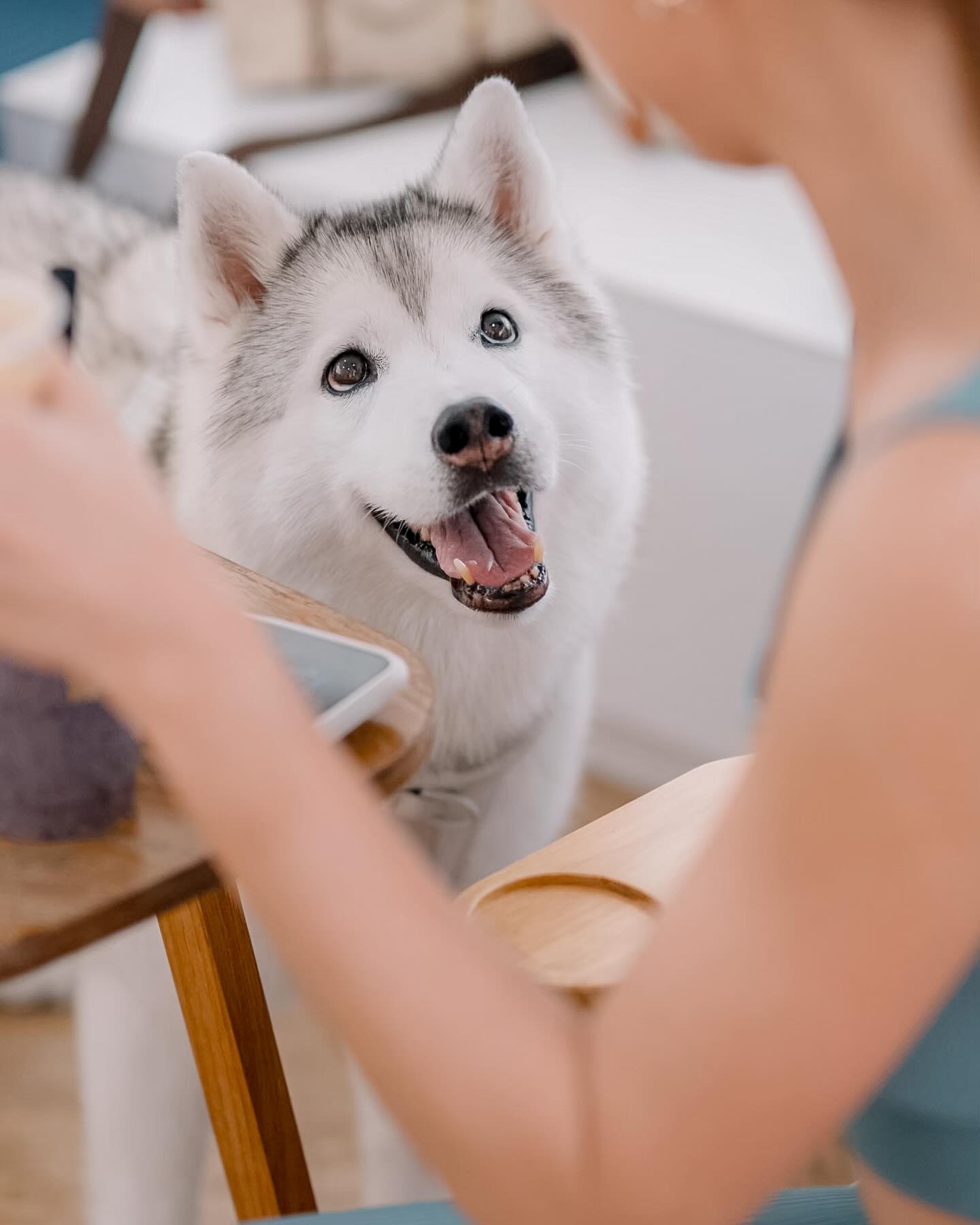 แพนเค้ก - เขมนิจ จามิกรณ์