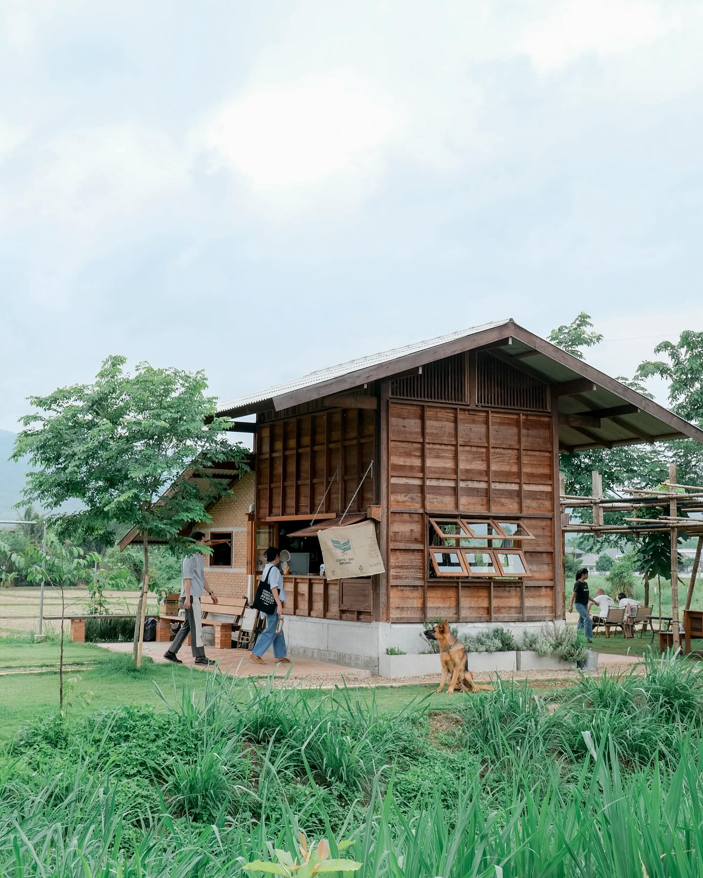 แพนเค้ก - เขมนิจ จามิกรณ์