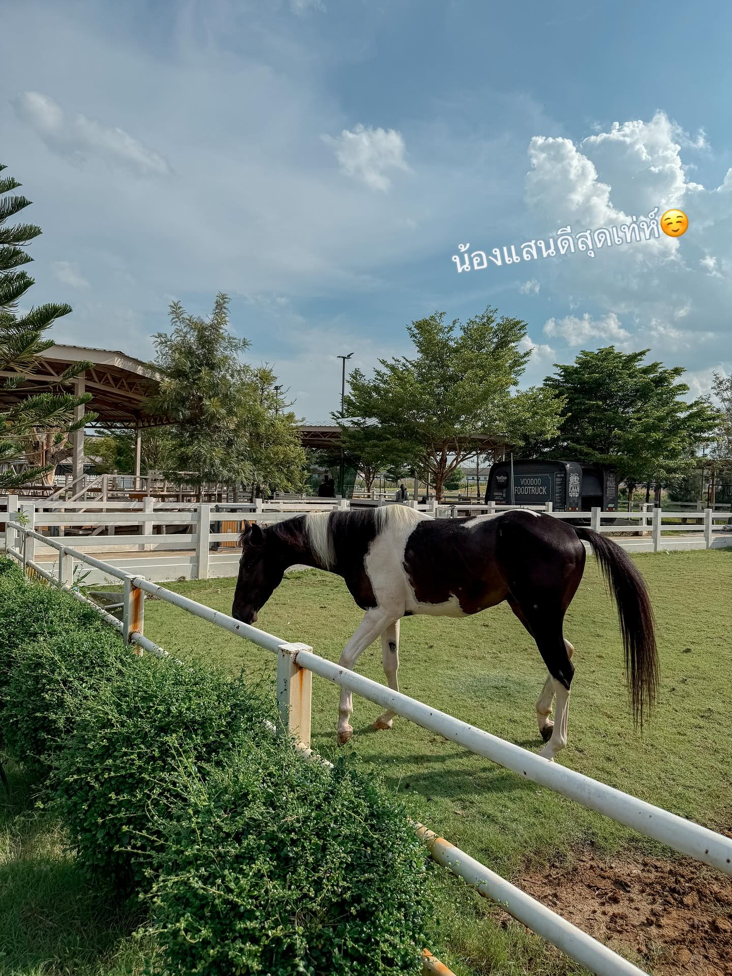 แพนเค้ก - เขมนิจ จามิกรณ์