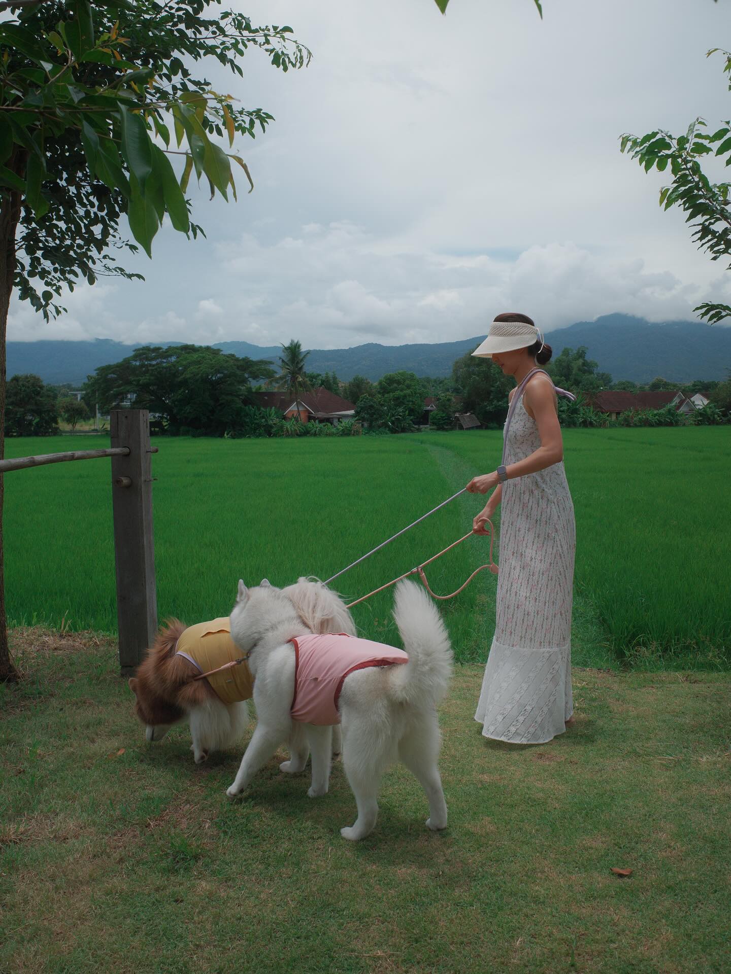 แพนเค้ก - เขมนิจ จามิกรณ์