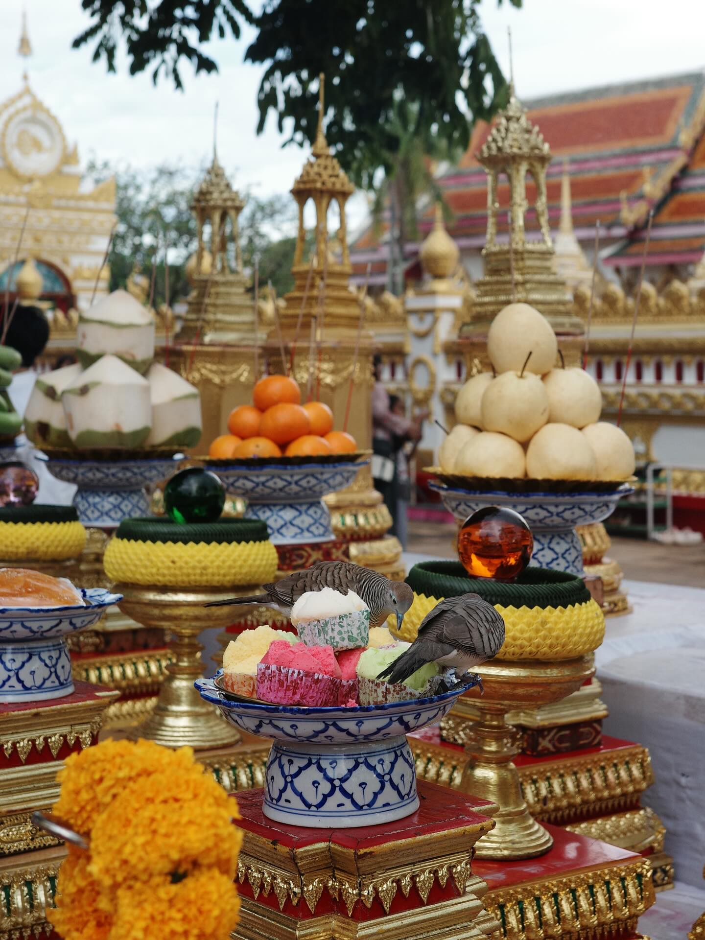 แพนเค้ก - เขมนิจ จามิกรณ์