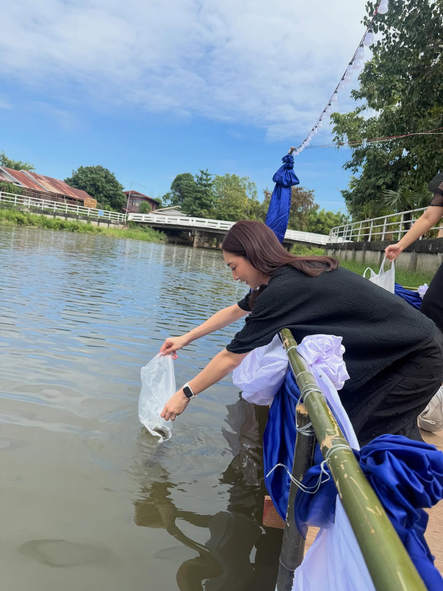 แพนเค้ก - เขมนิจ จามิกรณ์