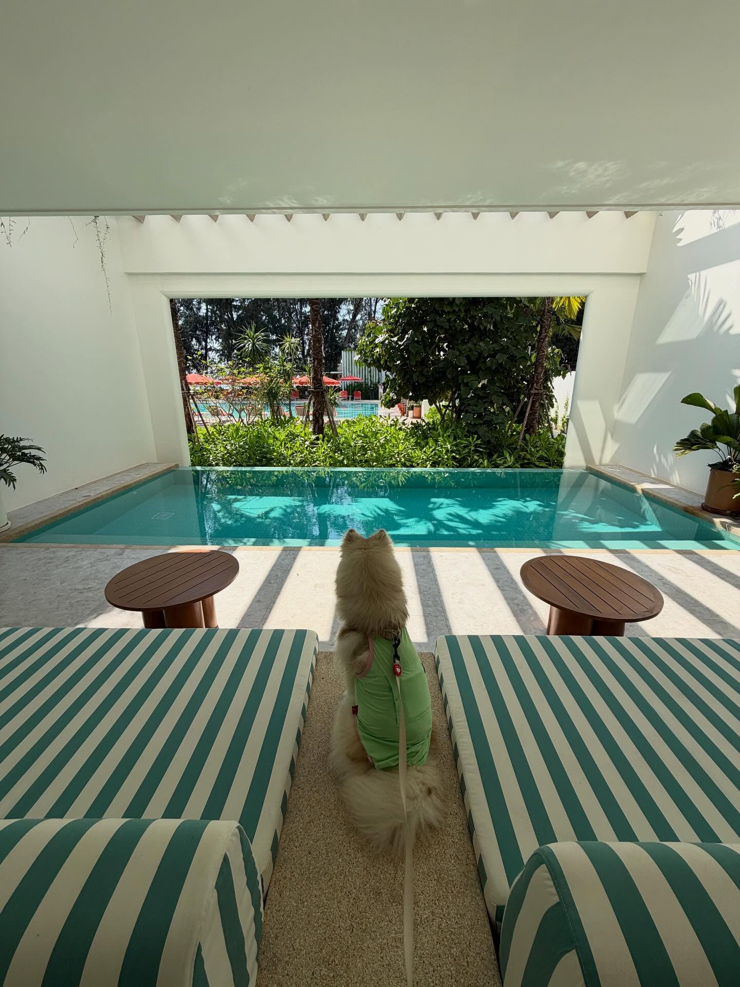 แพนเค้ก - เขมนิจ จามิกรณ์