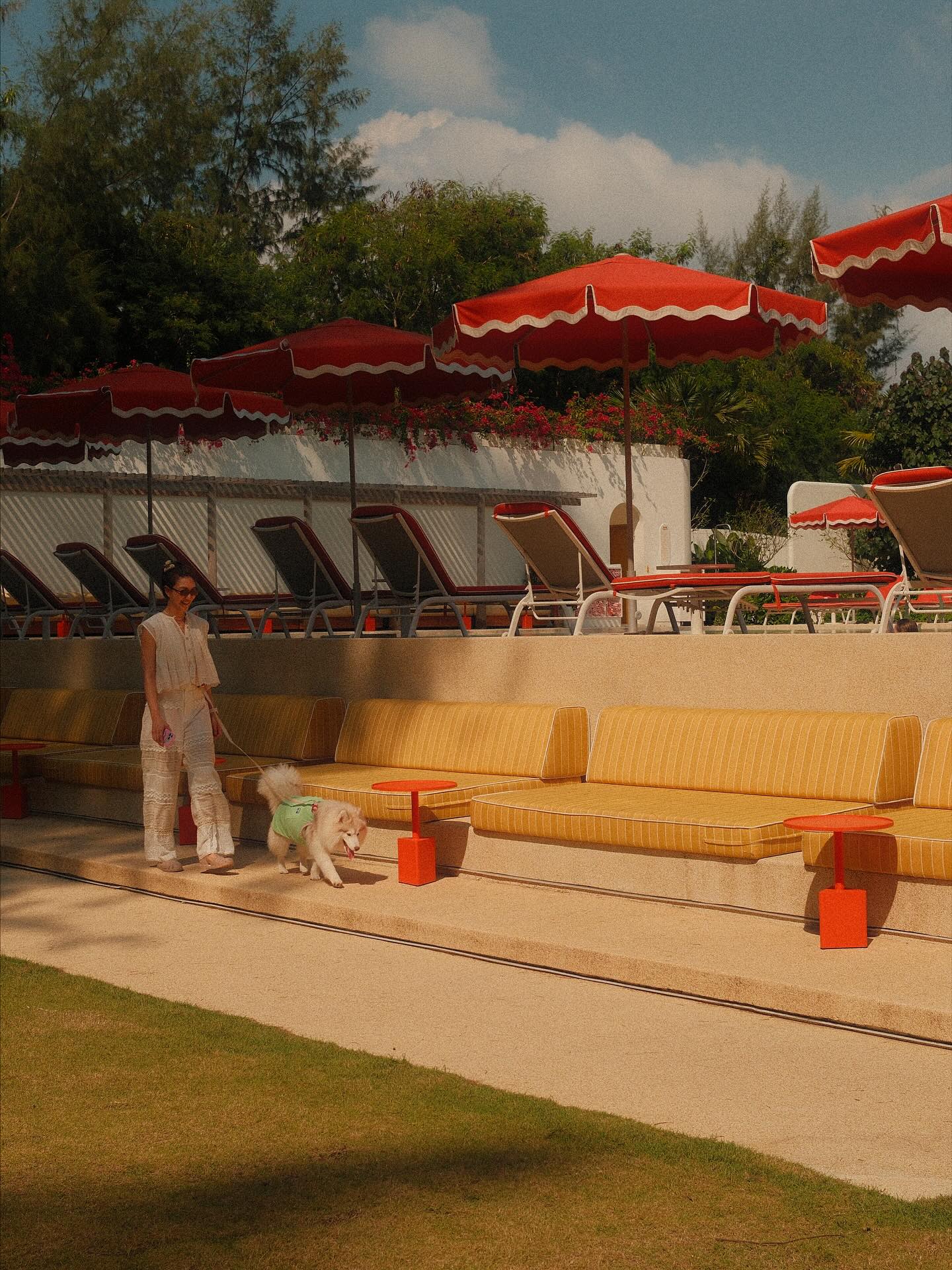 แพนเค้ก - เขมนิจ จามิกรณ์