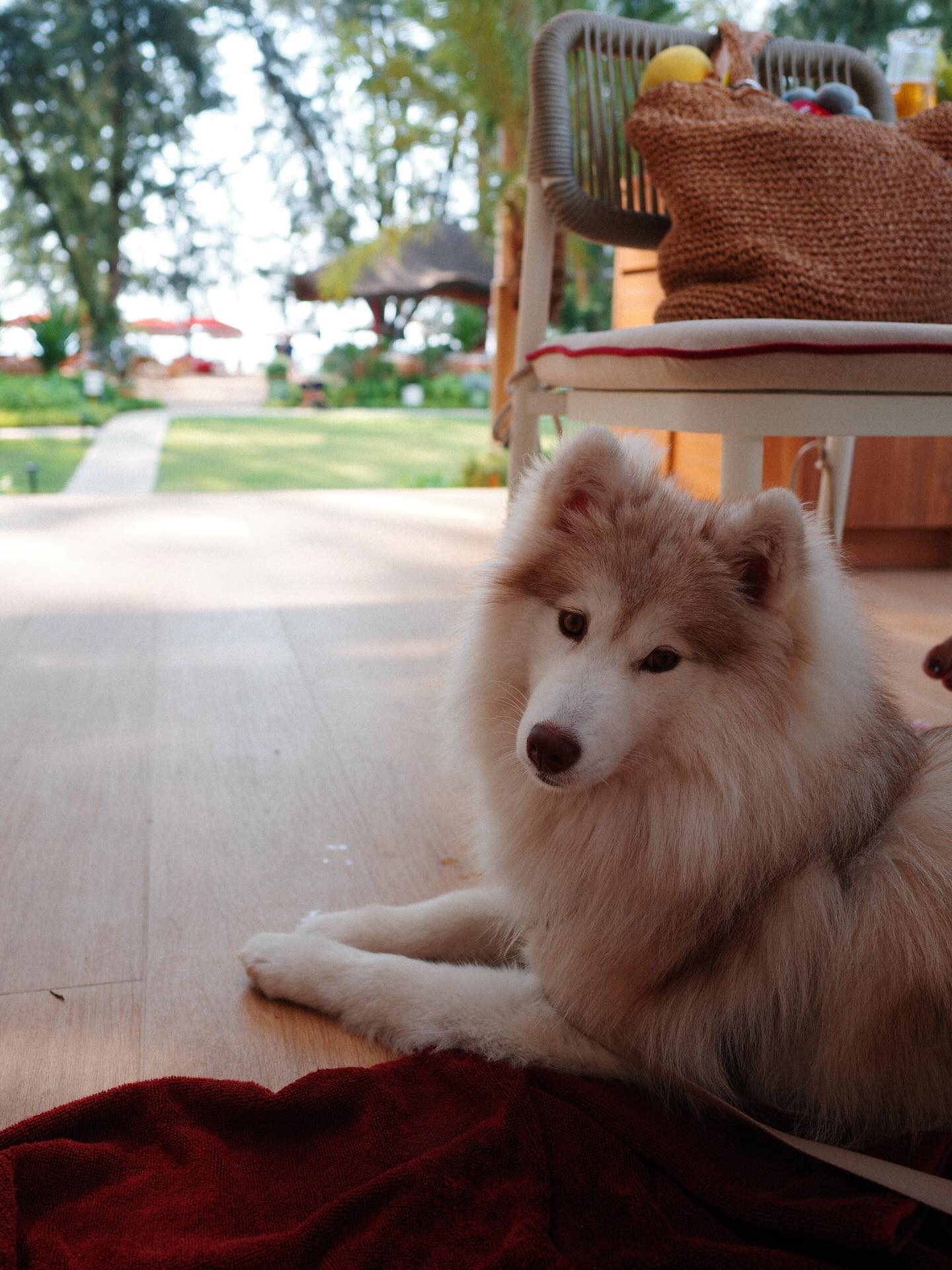 แพนเค้ก - เขมนิจ จามิกรณ์