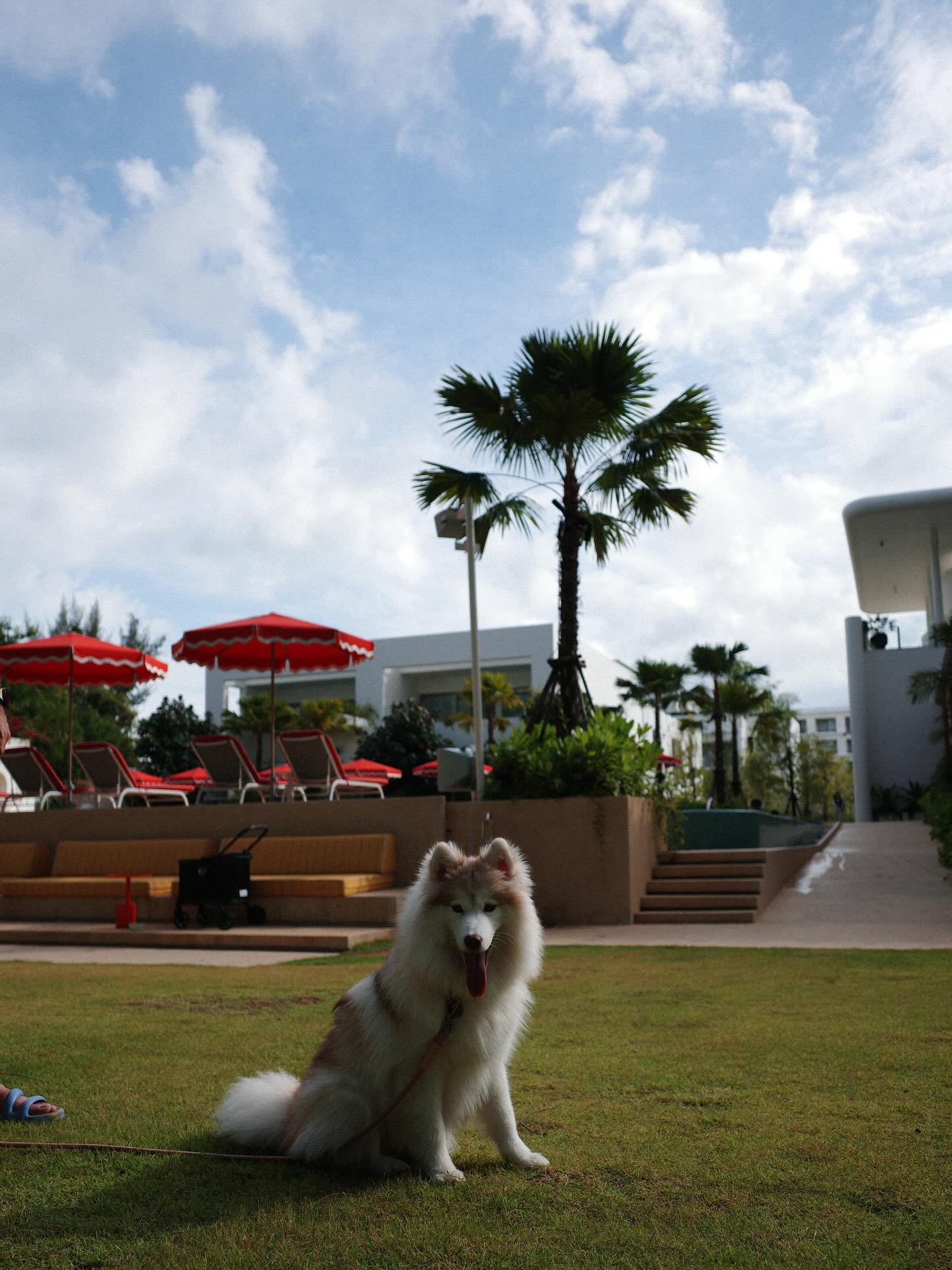 แพนเค้ก - เขมนิจ จามิกรณ์