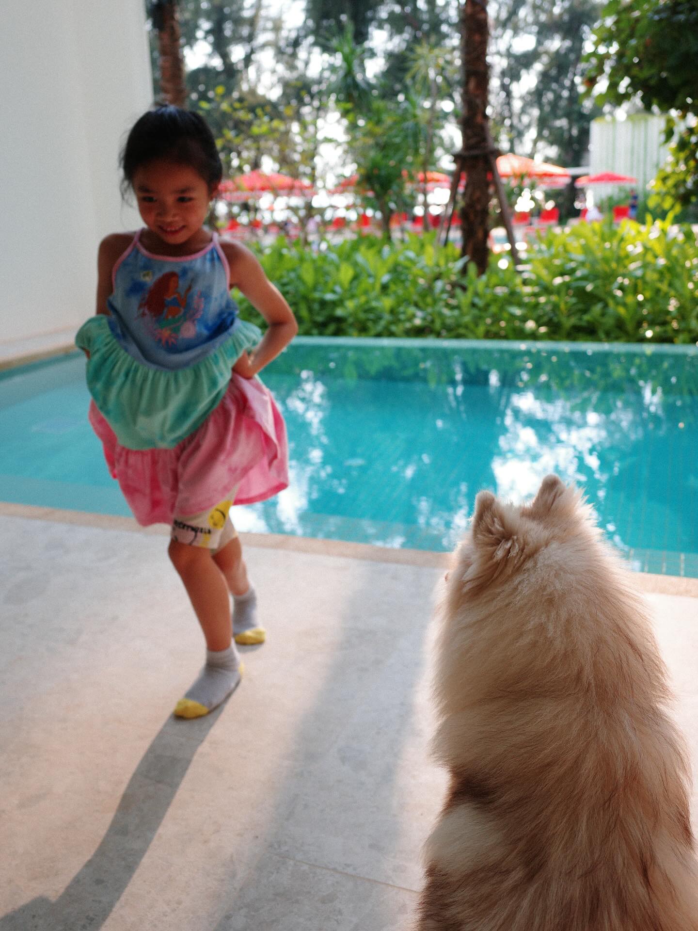 แพนเค้ก - เขมนิจ จามิกรณ์